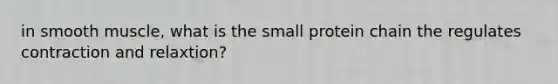 in smooth muscle, what is the small protein chain the regulates contraction and relaxtion?