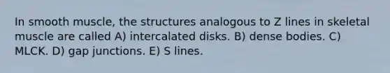 In smooth muscle, the structures analogous to Z lines in skeletal muscle are called A) intercalated disks. B) dense bodies. C) MLCK. D) gap junctions. E) S lines.