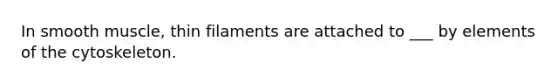 In smooth muscle, thin filaments are attached to ___ by elements of the cytoskeleton.