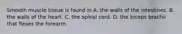 Smooth muscle tissue is found in A. the walls of the intestines. B. the walls of the heart. C. the spinal cord. D. the biceps brachii that flexes the forearm.