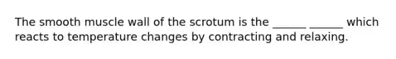 The smooth muscle wall of the scrotum is the ______ ______ which reacts to temperature changes by contracting and relaxing.