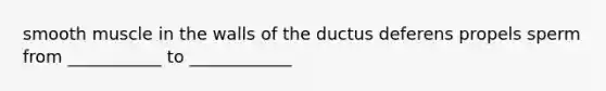 smooth muscle in the walls of the ductus deferens propels sperm from ___________ to ____________