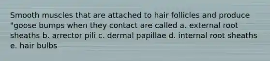 Smooth muscles that are attached to hair follicles and produce "goose bumps when they contact are called a. external root sheaths b. arrector pili c. dermal papillae d. internal root sheaths e. hair bulbs