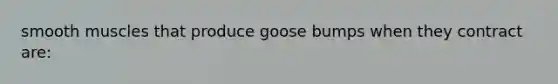 smooth muscles that produce goose bumps when they contract are: