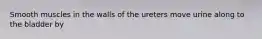 Smooth muscles in the walls of the ureters move urine along to the bladder by