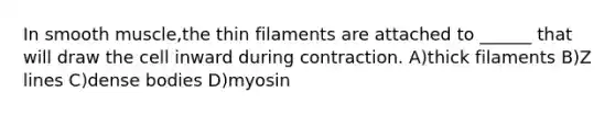 In smooth muscle,the thin filaments are attached to ______ that will draw the cell inward during contraction. A)thick filaments B)Z lines C)dense bodies D)myosin