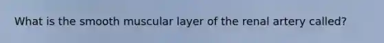 What is the smooth muscular layer of the renal artery called?