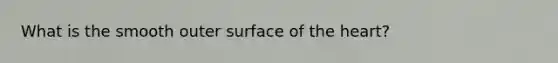 What is the smooth outer surface of the heart?