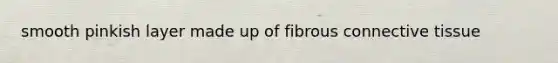 smooth pinkish layer made up of fibrous connective tissue