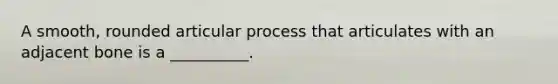 A smooth, rounded articular process that articulates with an adjacent bone is a __________.