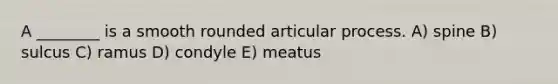 A ________ is a smooth rounded articular process. A) spine B) sulcus C) ramus D) condyle E) meatus