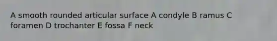 A smooth rounded articular surface A condyle B ramus C foramen D trochanter E fossa F neck