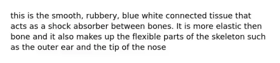 this is the smooth, rubbery, blue white connected tissue that acts as a shock absorber between bones. It is more elastic then bone and it also makes up the flexible parts of the skeleton such as the outer ear and the tip of the nose