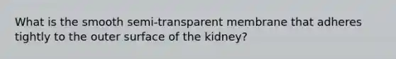 What is the smooth semi-transparent membrane that adheres tightly to the outer surface of the kidney?