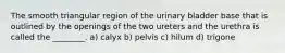 The smooth triangular region of the urinary bladder base that is outlined by the openings of the two ureters and the urethra is called the ________. a) calyx b) pelvis c) hilum d) trigone