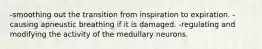 -smoothing out the transition from inspiration to expiration. -causing apneustic breathing if it is damaged. -regulating and modifying the activity of the medullary neurons.