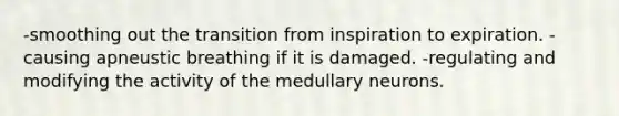 -smoothing out the transition from inspiration to expiration. -causing apneustic breathing if it is damaged. -regulating and modifying the activity of the medullary neurons.