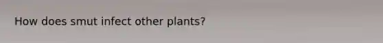 How does smut infect other plants?