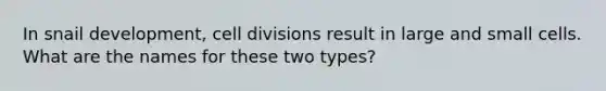 In snail development, cell divisions result in large and small cells. What are the names for these two types?