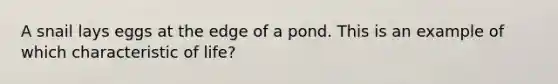 A snail lays eggs at the edge of a pond. This is an example of which characteristic of life?