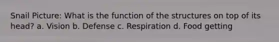 Snail Picture: What is the function of the structures on top of its head? a. Vision b. Defense c. Respiration d. Food getting