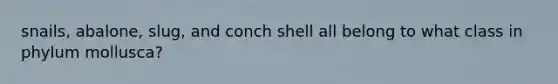 snails, abalone, slug, and conch shell all belong to what class in phylum mollusca?