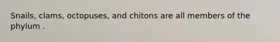 Snails, clams, octopuses, and chitons are all members of the phylum .