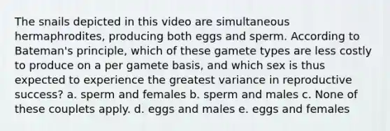 The snails depicted in this video are simultaneous hermaphrodites, producing both eggs and sperm. According to Bateman's principle, which of these gamete types are less costly to produce on a per gamete basis, and which sex is thus expected to experience the greatest variance in reproductive success? a. sperm and females b. sperm and males c. None of these couplets apply. d. eggs and males e. eggs and females