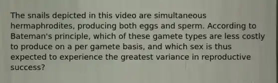 The snails depicted in this video are simultaneous hermaphrodites, producing both eggs and sperm. According to Bateman's principle, which of these gamete types are less costly to produce on a per gamete basis, and which sex is thus expected to experience the greatest variance in reproductive success?