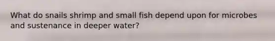 What do snails shrimp and small fish depend upon for microbes and sustenance in deeper water?