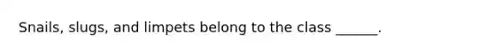 Snails, slugs, and limpets belong to the class ______.