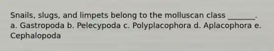 Snails, slugs, and limpets belong to the molluscan class _______. a. Gastropoda b. Pelecypoda c. Polyplacophora d. Aplacophora e. Cephalopoda