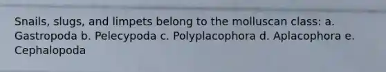 Snails, slugs, and limpets belong to the molluscan class: a. Gastropoda b. Pelecypoda c. Polyplacophora d. Aplacophora e. Cephalopoda