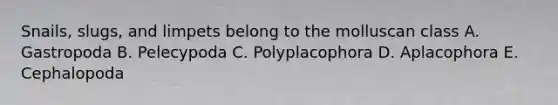 Snails, slugs, and limpets belong to the molluscan class A. Gastropoda B. Pelecypoda C. Polyplacophora D. Aplacophora E. Cephalopoda