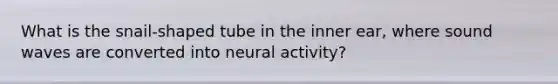 What is the snail-shaped tube in the inner ear, where sound waves are converted into neural activity?