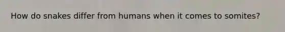 How do snakes differ from humans when it comes to somites?
