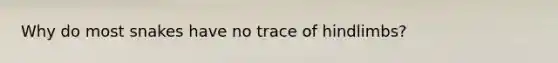 Why do most snakes have no trace of hindlimbs?