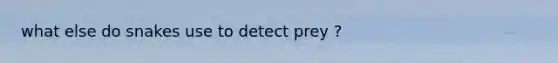 what else do snakes use to detect prey ?