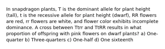 In snapdragon plants, T is the dominant allele for plant height (tall), t is the recessive allele for plant height (dwarf), RR flowers are red, rr flowers are white, and flower color exhibits incomplete dominance. A cross between Ttrr and TtRR results in what proportion of offspring with pink flowers on dwarf plants? a) One-quarter b) Three-quarters c) One-half d) One sixteenth