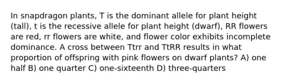 In snapdragon plants, T is the dominant allele for plant height (tall), t is the recessive allele for plant height (dwarf), RR flowers are red, rr flowers are white, and flower color exhibits incomplete dominance. A cross between Ttrr and TtRR results in what proportion of offspring with pink flowers on dwarf plants? A) one half B) one quarter C) one-sixteenth D) three-quarters