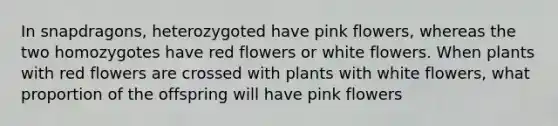 In snapdragons, heterozygoted have pink flowers, whereas the two homozygotes have red flowers or white flowers. When plants with red flowers are crossed with plants with white flowers, what proportion of the offspring will have pink flowers