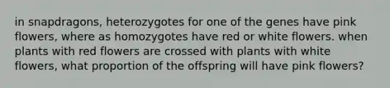 in snapdragons, heterozygotes for one of the genes have pink flowers, where as homozygotes have red or white flowers. when plants with red flowers are crossed with plants with white flowers, what proportion of the offspring will have pink flowers?