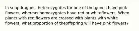 In snapdragons, heterozygotes for one of the genes have pink flowers, whereas homozygotes have red or whiteflowers. When plants with red flowers are crossed with plants with white flowers, what proportion of theoffspring will have pink flowers?