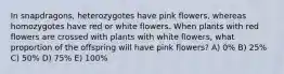 In snapdragons, heterozygotes have pink flowers, whereas homozygotes have red or white flowers. When plants with red flowers are crossed with plants with white flowers, what proportion of the offspring will have pink flowers? A) 0% B) 25% C) 50% D) 75% E) 100%