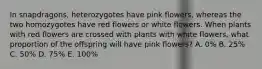 In snapdragons, heterozygotes have pink flowers, whereas the two homozygotes have red flowers or white flowers. When plants with red flowers are crossed with plants with white flowers, what proportion of the offspring will have pink flowers? A. 0% B. 25% C. 50% D. 75% E. 100%