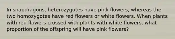 In snapdragons, heterozygotes have pink flowers, whereas the two homozygotes have red flowers or white flowers. When plants with red flowers crossed with plants with white flowers, what proportion of the offspring will have pink flowers?