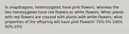 In snapdragons, heterozygotes have pink flowers, whereas the two homozygotes have red flowers or white flowers. When plants with red flowers are crossed with plants with white flowers, what proportion of the offspring will have pink flowers? 75% 0% 100% 50% 25%