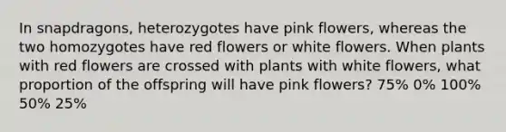 In snapdragons, heterozygotes have pink flowers, whereas the two homozygotes have red flowers or white flowers. When plants with red flowers are crossed with plants with white flowers, what proportion of the offspring will have pink flowers? 75% 0% 100% 50% 25%