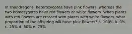 In snapdragons, heterozygotes have pink flowers, whereas the two homozygotes have red flowers or white flowers. When plants with red flowers are crossed with plants with white flowers, what proportion of the offspring will have pink flowers? a. 100% b. 0% c. 25% d. 50% e. 75%