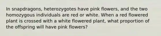 In snapdragons, heterozygotes have pink flowers, and the two homozygous individuals are red or white. When a red flowered plant is crossed with a white flowered plant, what proportion of the offspring will have pink flowers?